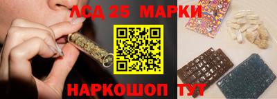 Альфа ПВП Гатчина
