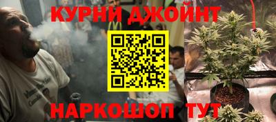 Альфа ПВП Гатчина