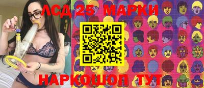 Альфа ПВП Гатчина