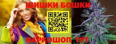 Альфа ПВП Гатчина