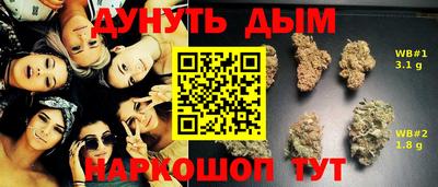 Альфа ПВП Гатчина