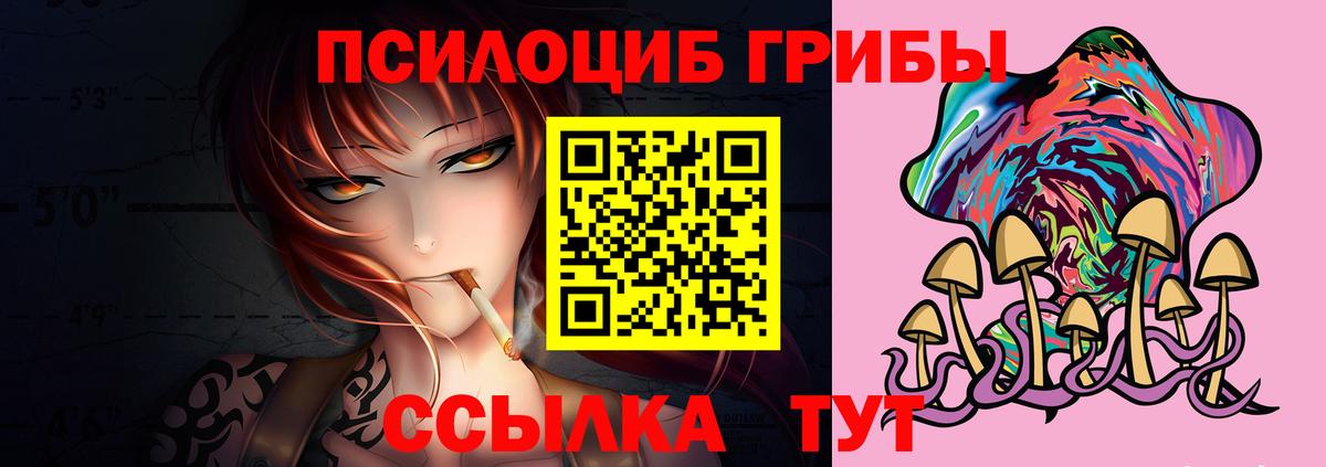 Галлюциногенные грибы Psilocybine cubensis Камышин